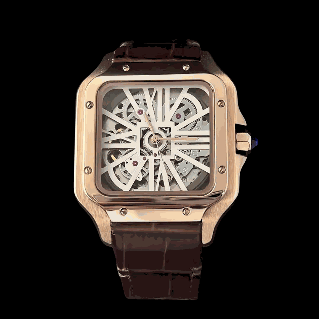 Seiko Mod Santos Skeleton Series - Timeless Design - Modtime