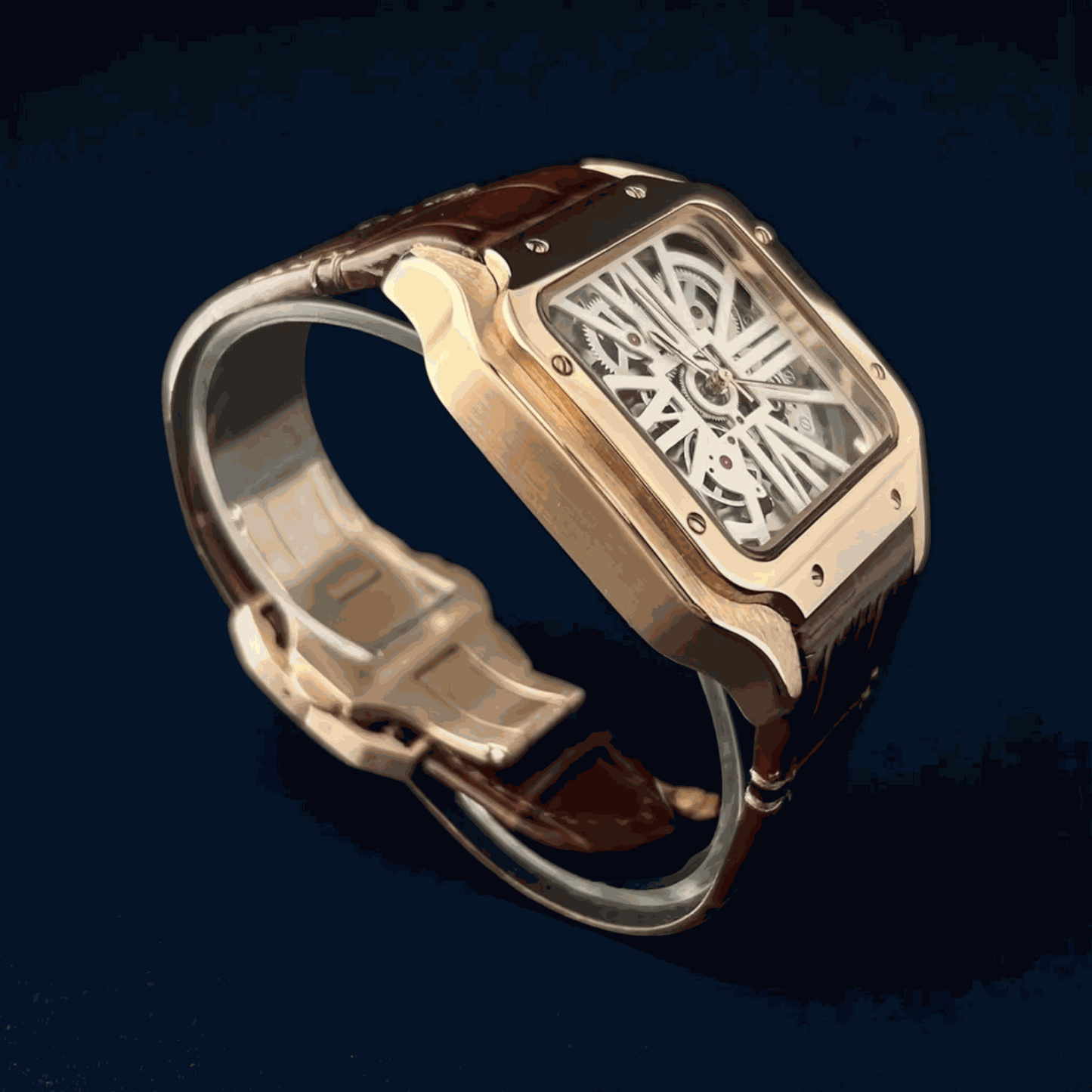 Seiko Mod Santos Skeleton Series - Timeless Design - Modtime