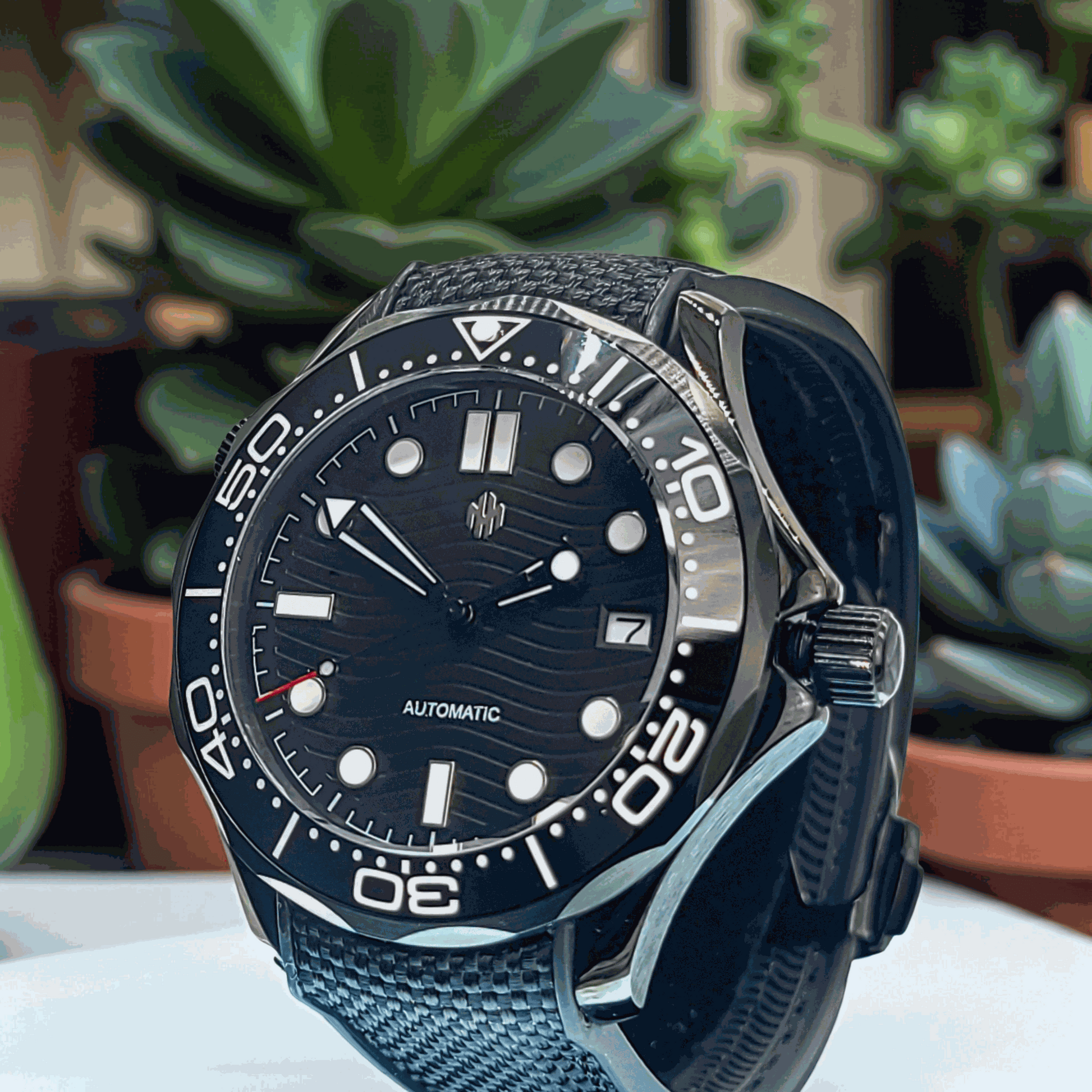 A Seiko Mod Omega Seamaster with a Black Dial on a table with succulents 