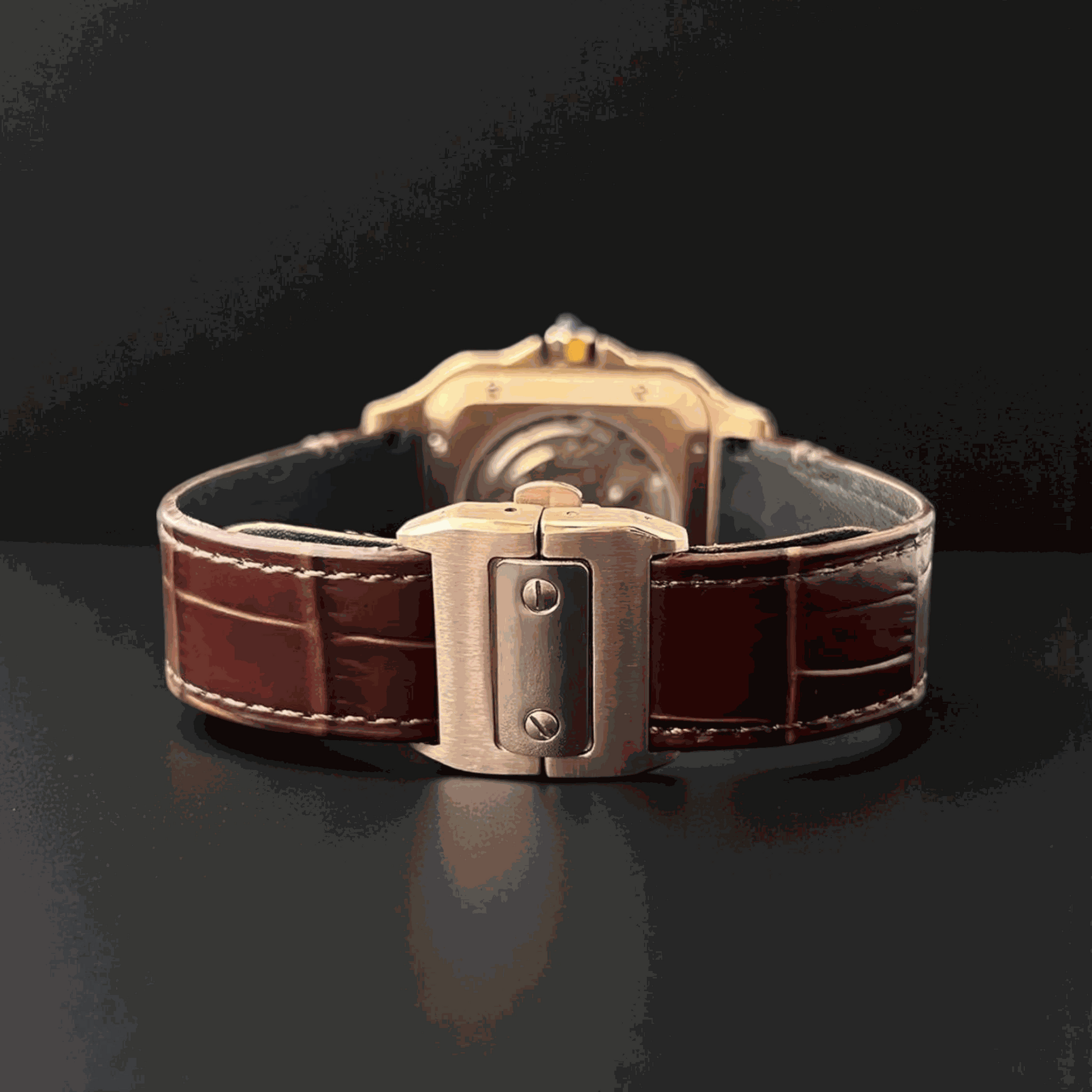 Seiko Mod Santos Skeleton Series - Timeless Design - Modtime
