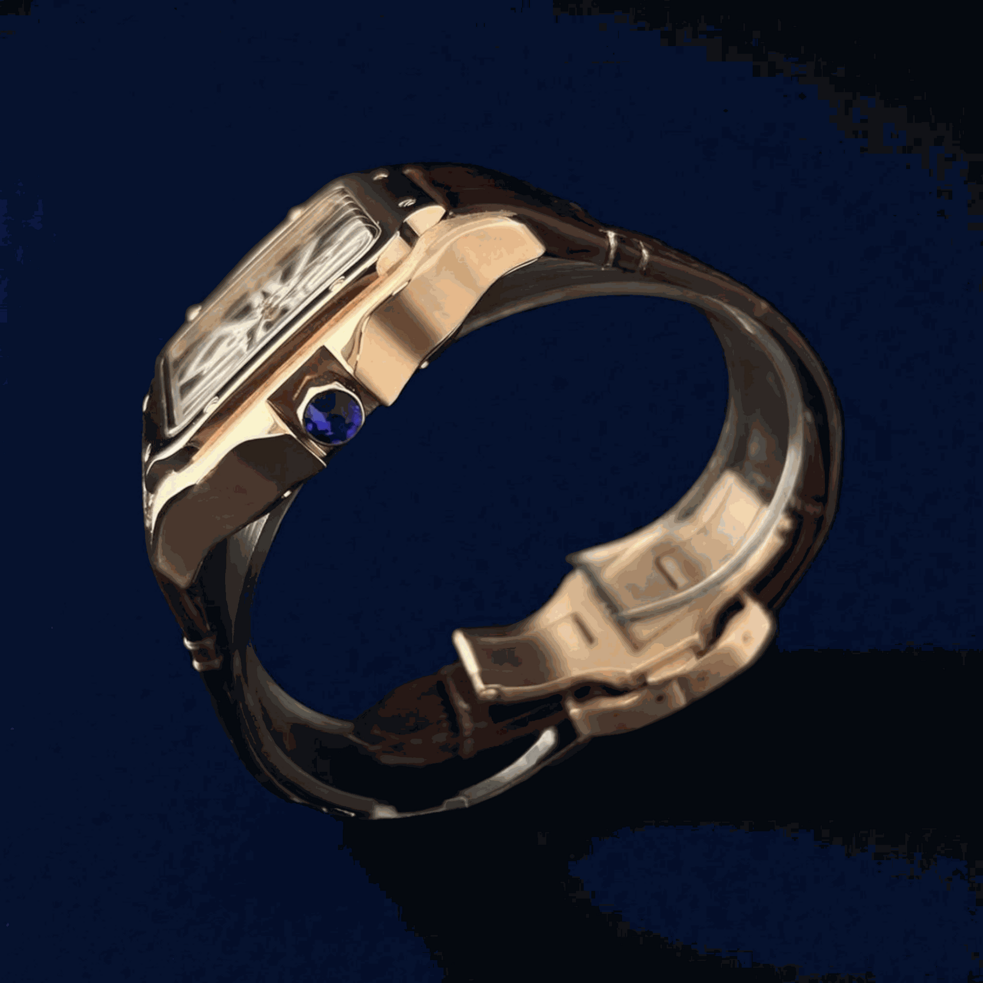 Seiko Mod Santos Skeleton Series - Timeless Design - Modtime