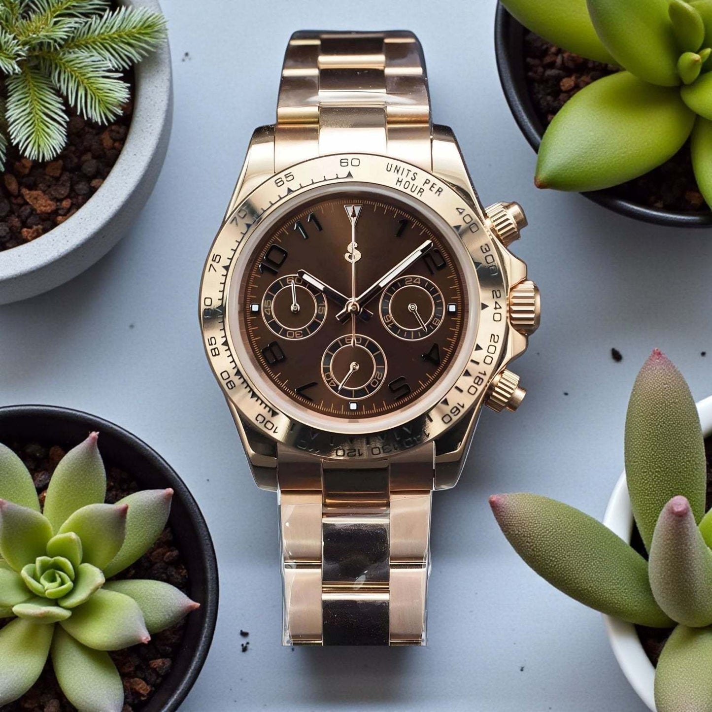S Mod Seitona Gold case with Chocolate bronze dial - Modtime - MODTIME