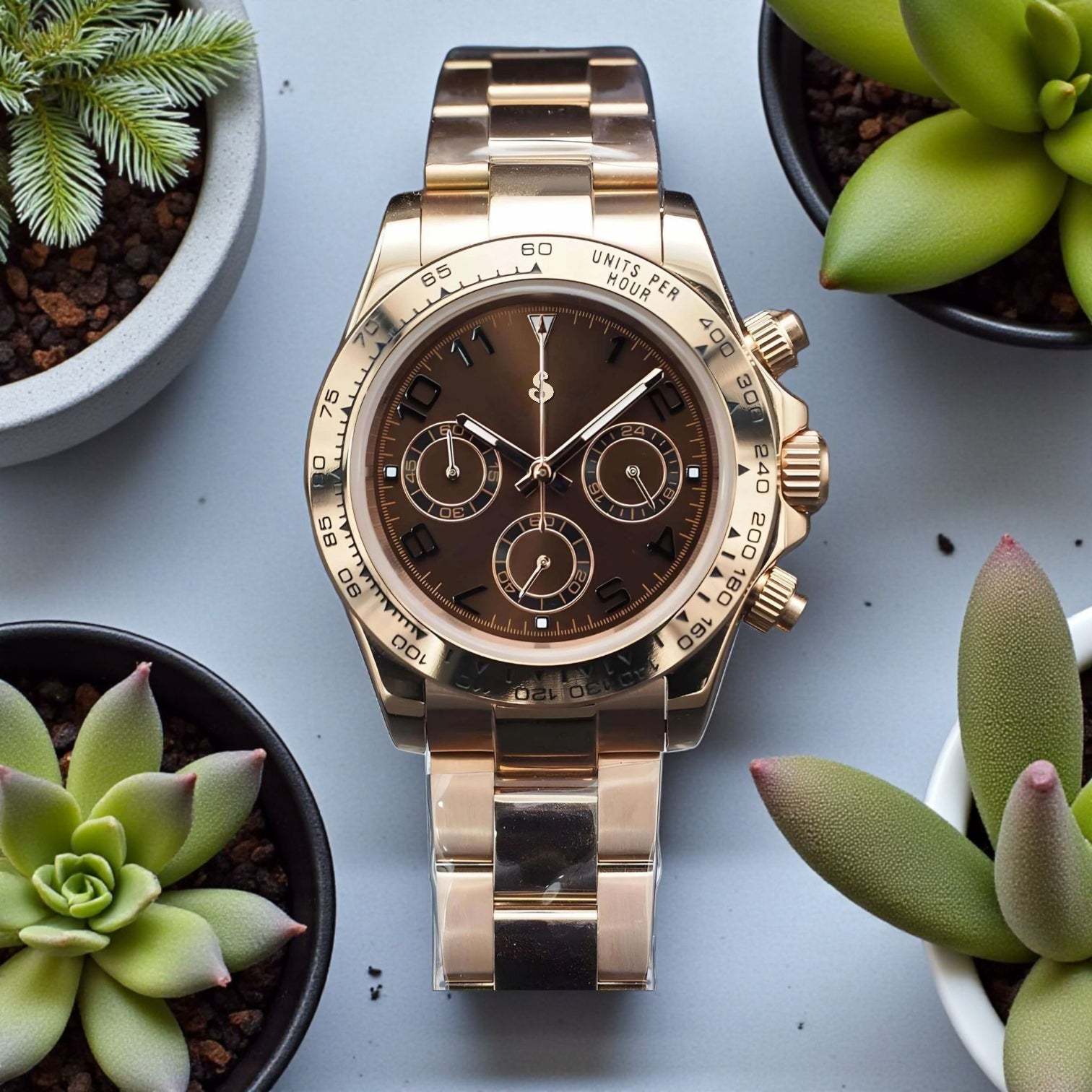 S Mod Seitona Gold case with Chocolate bronze dial - Modtime - MODTIME
